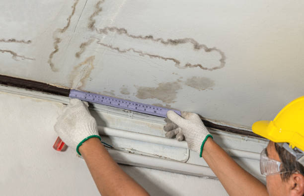 Reliable Water Damage contractor in Hillside, NJ by Water Damage Irwin